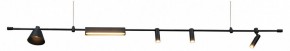 Подвесной светильник Kink Light Ристо 07616-180L,19 в Тобольске - tobolsk.mebel24.online | фото