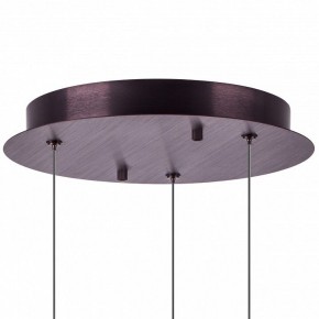 Подвесной светильник Lightstar Caramello 796139 в Тобольске - tobolsk.mebel24.online | фото 13