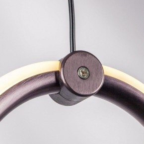 Подвесной светильник Lightstar Caramello 796139 в Тобольске - tobolsk.mebel24.online | фото 5