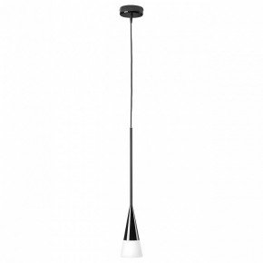 Подвесной светильник Lightstar Conicita 804117 в Тобольске - tobolsk.mebel24.online | фото 2