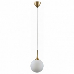 Подвесной светильник Lightstar Globo 813022 в Тобольске - tobolsk.mebel24.online | фото 2