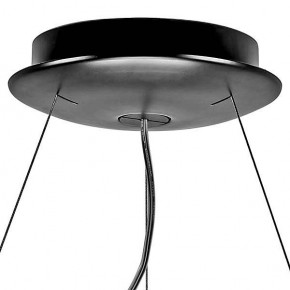 Подвесной светильник Lightstar Nibbler 812126 в Тобольске - tobolsk.mebel24.online | фото 7