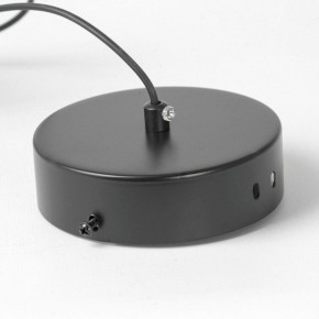 Подвесной светильник Lussole Bradford LSP-7154 в Тобольске - tobolsk.mebel24.online | фото 6
