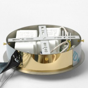 Подвесной светильник Lussole Citrus LSP-7158 в Тобольске - tobolsk.mebel24.online | фото 6