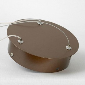 Подвесной светильник Lussole Dade LSP-7250 в Тобольске - tobolsk.mebel24.online | фото 5
