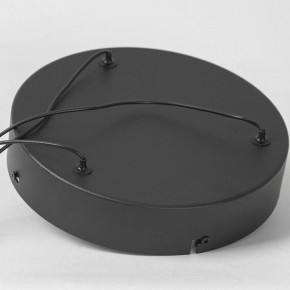 Подвесной светильник Lussole Macon LSP-7310 в Тобольске - tobolsk.mebel24.online | фото 6