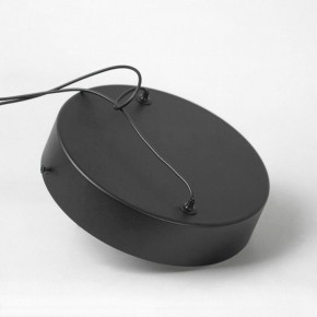 Подвесной светильник Lussole Mitchell LSP-7308 в Тобольске - tobolsk.mebel24.online | фото 5