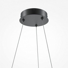Подвесной светильник Maytoni Curve MOD241PL-L60BK в Тобольске - tobolsk.mebel24.online | фото 6