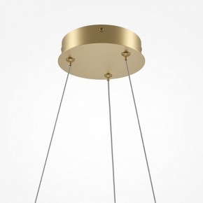 Подвесной светильник Maytoni Curve MOD241PL-L60BSK в Тобольске - tobolsk.mebel24.online | фото 6