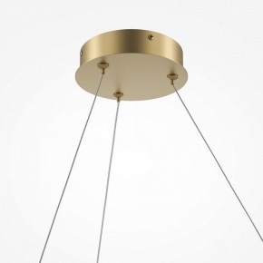 Подвесной светильник Maytoni Curve MOD242PL-L33BSK в Тобольске - tobolsk.mebel24.online | фото 5