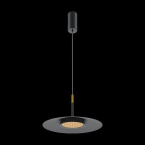 Подвесной светильник Maytoni Halo MOD041PL-L15B3K1 в Тобольске - tobolsk.mebel24.online | фото 4