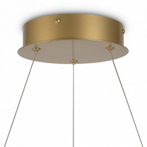 Подвесной светильник Maytoni Halo MOD100PL-L88BSK1 в Тобольске - tobolsk.mebel24.online | фото 6