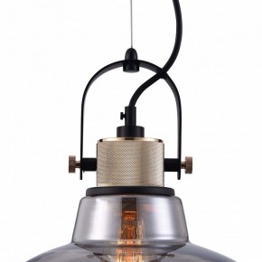 Подвесной светильник Maytoni Irving T163PL-01C в Тобольске - tobolsk.mebel24.online | фото 9