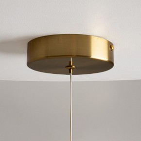 Подвесной светильник Maytoni Loop MOD290PL-L23BS3K в Тобольске - tobolsk.mebel24.online | фото 9