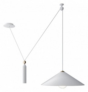Подвесной светильник Maytoni Peso P080PL-01W в Тобольске - tobolsk.mebel24.online | фото 2