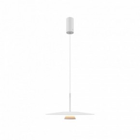 Подвесной светильник Maytoni Platte MOD352PL-L10W3K в Тобольске - tobolsk.mebel24.online | фото 4