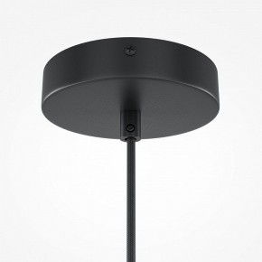 Подвесной светильник Maytoni Roots MOD194PL-01W1 в Тобольске - tobolsk.mebel24.online | фото 5