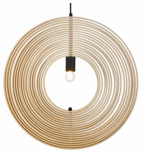 Подвесной светильник Maytoni Roots MOD197PL-01W2 в Тобольске - tobolsk.mebel24.online | фото 2