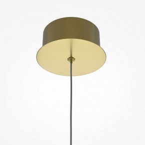 Подвесной светильник Maytoni Splash MOD282PL-L8G3K в Тобольске - tobolsk.mebel24.online | фото 5