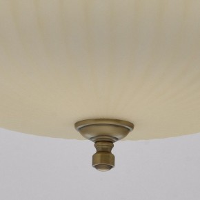 Подвесной светильник MW-Light Афродита 1 317010504 в Тобольске - tobolsk.mebel24.online | фото 9