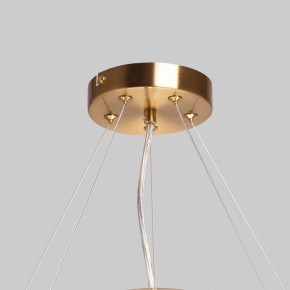 Подвесной светильник MW-Light Илоника 10 451013006 в Тобольске - tobolsk.mebel24.online | фото 10