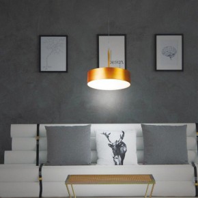 Подвесной светильник Novotech Prometa 358766 в Тобольске - tobolsk.mebel24.online | фото 4