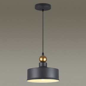 Подвесной светильник Odeon Light Bolli 4088/1 в Тобольске - tobolsk.mebel24.online | фото 4