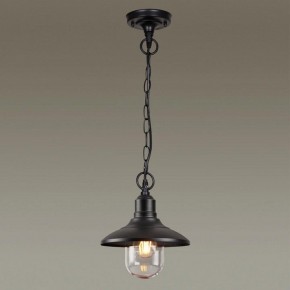 Подвесной светильник Odeon Light Campa 4965/1 в Тобольске - tobolsk.mebel24.online | фото 2