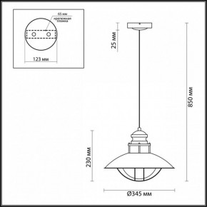 Подвесной светильник Odeon Light Dante 4164/1 в Тобольске - tobolsk.mebel24.online | фото 3