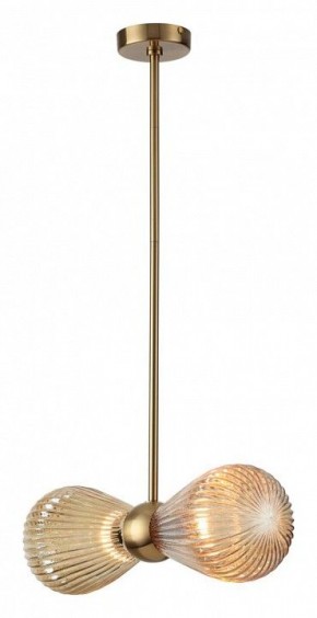 Подвесной светильник Odeon Light Elica 5402/2 в Тобольске - tobolsk.mebel24.online | фото 2