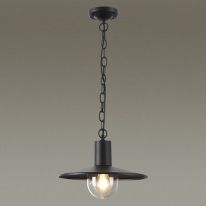 Подвесной светильник Odeon Light Furcadia 4833/1 в Тобольске - tobolsk.mebel24.online | фото 3