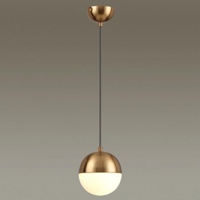 Подвесной светильник Odeon Light Pinga 4960/1 в Тобольске - tobolsk.mebel24.online | фото 2
