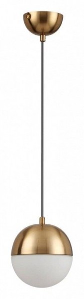 Подвесной светильник Odeon Light Pinga 4960/1 в Тобольске - tobolsk.mebel24.online | фото 3