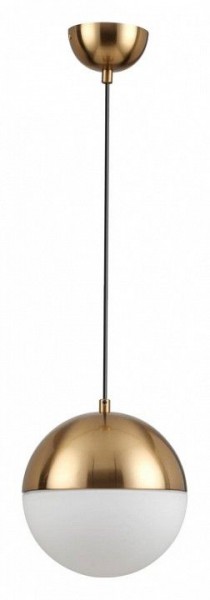 Подвесной светильник Odeon Light Pinga 4960/1A в Тобольске - tobolsk.mebel24.online | фото 3