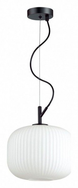 Подвесной светильник Odeon Light Roofi 4753/1 в Тобольске - tobolsk.mebel24.online | фото 2