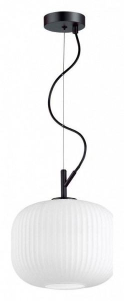 Подвесной светильник Odeon Light Roofi 4753/1 в Тобольске - tobolsk.mebel24.online | фото 3