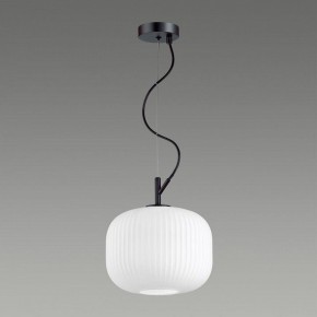 Подвесной светильник Odeon Light Roofi 4753/1 в Тобольске - tobolsk.mebel24.online | фото 4