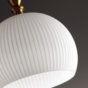 Подвесной светильник Odeon Light Runga 4766/1 в Тобольске - tobolsk.mebel24.online | фото 8