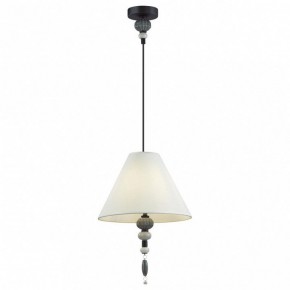 Подвесной светильник Odeon Light Sochi 4896/1 в Тобольске - tobolsk.mebel24.online | фото 2