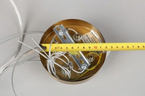 Подвесной светильник Omnilux Cesana OML-67103-08 в Тобольске - tobolsk.mebel24.online | фото 9