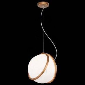 Подвесной светильник ST-Luce Acerra SL1181.353.01 в Тобольске - tobolsk.mebel24.online | фото 4