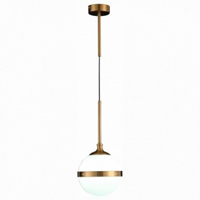 Подвесной светильник ST-Luce Arbe SL1157.303.01 в Тобольске - tobolsk.mebel24.online | фото 3
