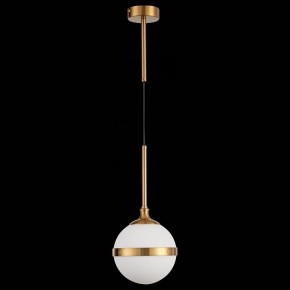 Подвесной светильник ST-Luce Arbe SL1157.303.01 в Тобольске - tobolsk.mebel24.online | фото 4