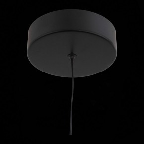 Подвесной светильник ST-Luce Bisaria SL393.403.01 в Тобольске - tobolsk.mebel24.online | фото 8