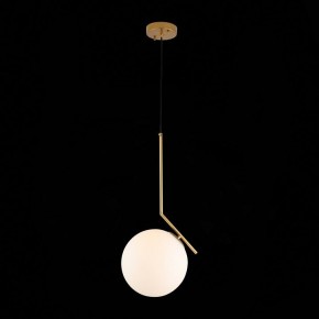 Подвесной светильник ST-Luce Codda SL1148.303.01 в Тобольске - tobolsk.mebel24.online | фото 5