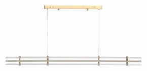 Подвесной светильник ST-Luce FAGY SL6245.223.01 в Тобольске - tobolsk.mebel24.online | фото 3