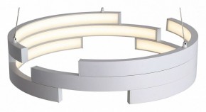 Подвесной светильник ST-Luce Genuine SL963.503.01 в Тобольске - tobolsk.mebel24.online | фото