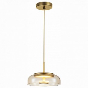 Подвесной светильник ST-Luce Lacio SL6002.203.01 в Тобольске - tobolsk.mebel24.online | фото