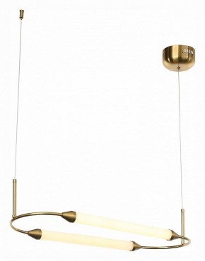 Подвесной светильник ST-Luce Olbia SL6004.313.02 в Тобольске - tobolsk.mebel24.online | фото 4