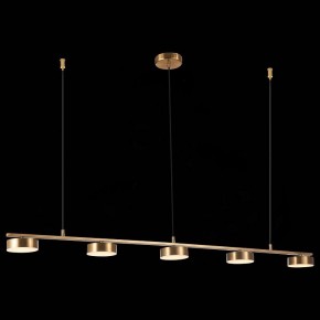 Подвесной светильник ST-Luce Pances SL6000.303.05 в Тобольске - tobolsk.mebel24.online | фото 5